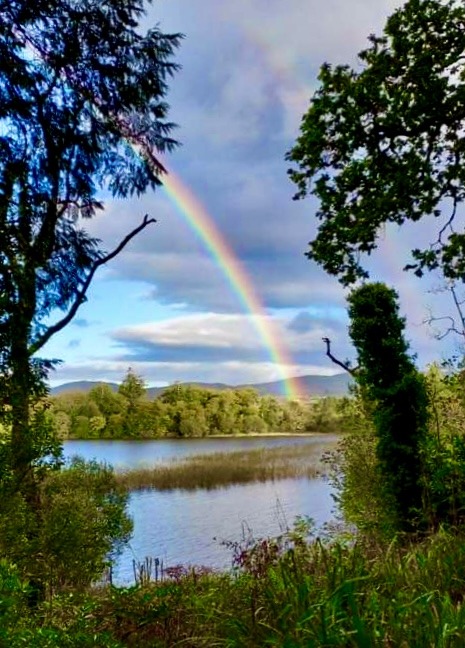 A vibrant rainbow arches over a serene lake surrounded by lush greenery and trees